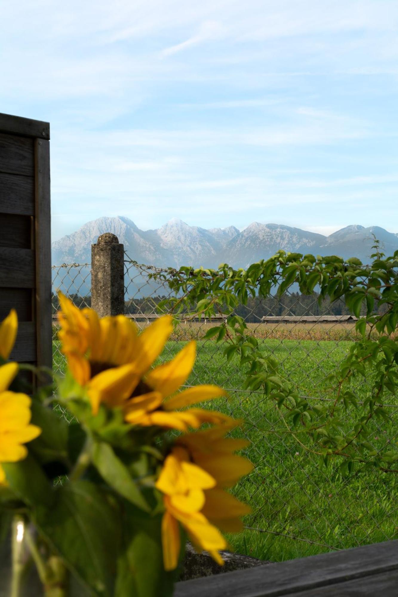 Glamping With A View Villa Smlednik Kültér fotó